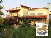 For sale Detached house 350.000€ YPATI (code A-6533)